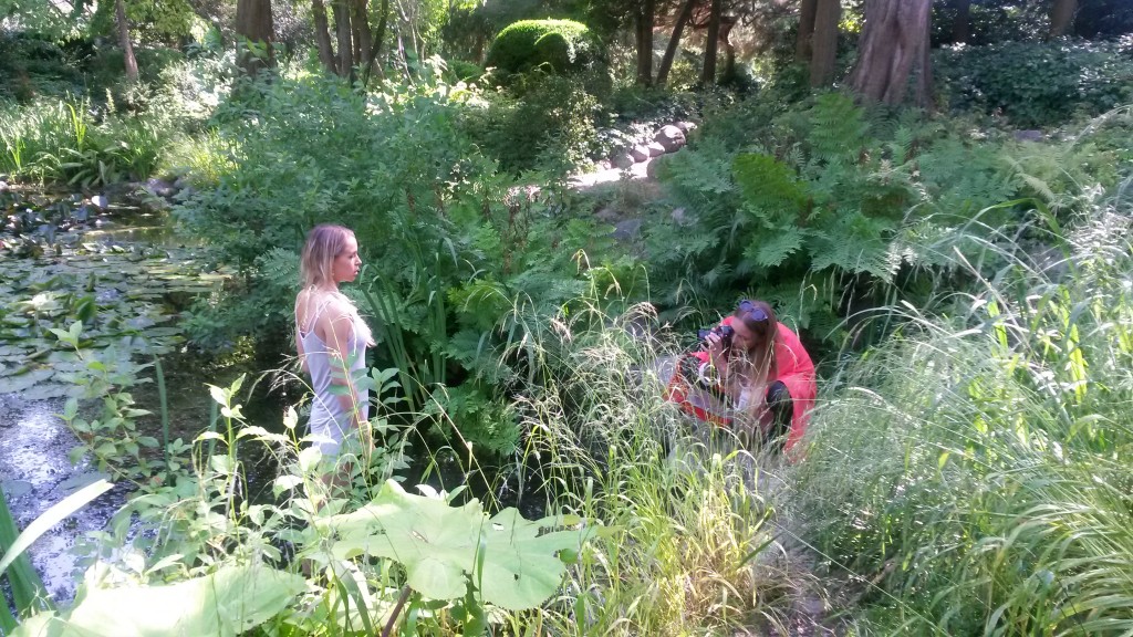 Smukke omgivelser - stemning - spirituelt lys - INTUITION og meditation