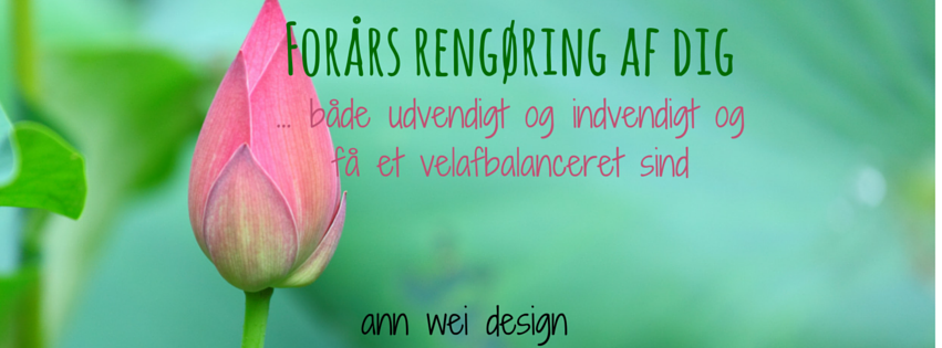 Forårsrengøring og renselse af din krop og sind