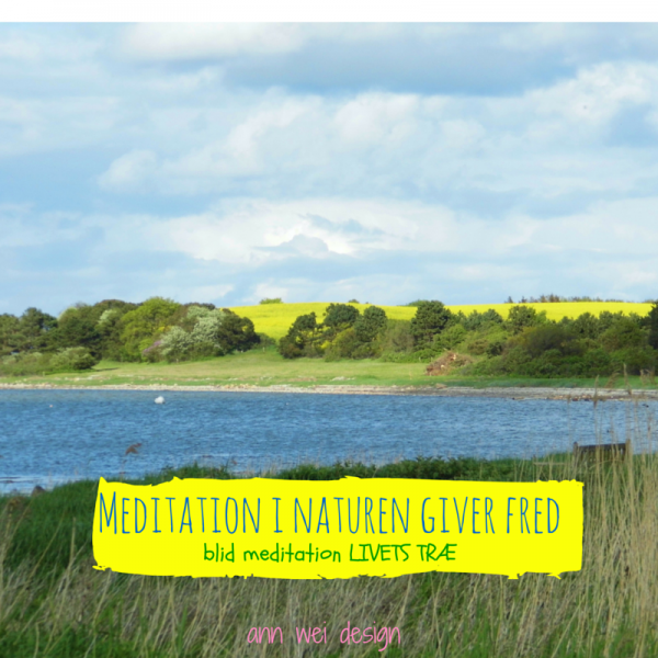 Meditation i naturen giver fred