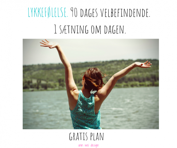 LYKKEFØLELSE. 90 dages velbefindende. 1 sætning om dagen.